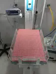 RedCheck